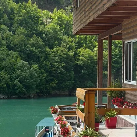 Hotel Drini *