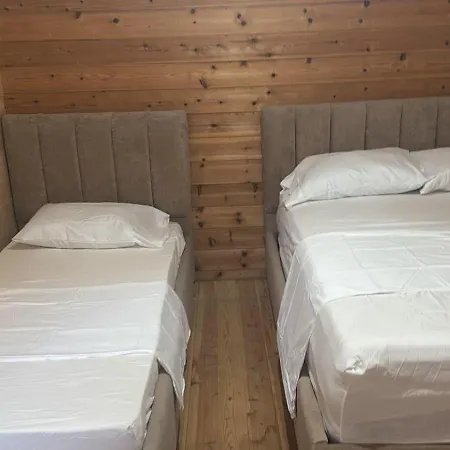 Hotel Drini *